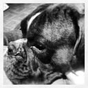 Javier Hernández Segura