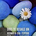 Rosalinda Cardenas Belio