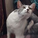 Marcela Palma Castañeda