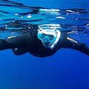 Carla Patricia Pimenta Cardoso