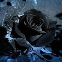 Maria Angeles Barahona Israel