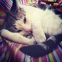 Yurena Deira Gonzalez