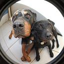 Jackson Tadeu C. Amaral