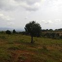 Terrenos Ahuacatitlan