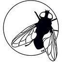 Rhaefal Juárez Raygoza