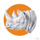 Cristina Sausor Carmona