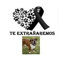 Renato Núñez Melgar Espinoza