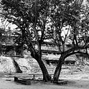 Itzel Venegas Becerril