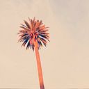 Angel Gabriel Azcona Nolasco