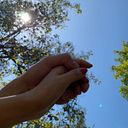 rodrigo de la fuente