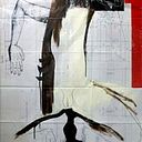 Silvia Bonapace