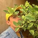 Fredo Cabrera Jiménez