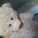 Roosevelt Remache Abrigo