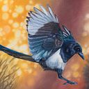 Monique Castellani-Kraan