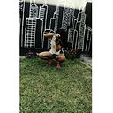 Valeria Zegarra Aliaga