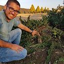 Franz Nino de Guzman