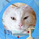 Edwin Bernardo Claure Vidaurre