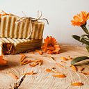 Karla Sievers thennet