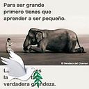 Jr Real