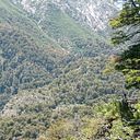 heidi_heitmann_frutuoso