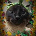 Fabiola Viviano Martini