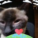 Abraham Najera Vasquez