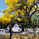 Andrea Zayill García Pérez