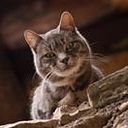 Jose Luis Bastarrachea Ortiz