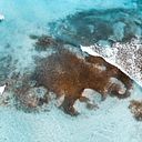 Jorge Enrique Román Cadenas