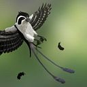 encuadernaciones coco