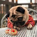 Brayan García Moreno