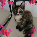 Florencia Catalina Rivero