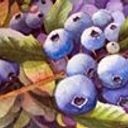 Susan Burris