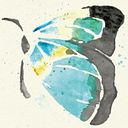 Angela Dávila Angie Dávila (Cotón Azul)