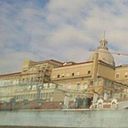 Ana Paula Vieira Vieira