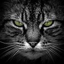 Víctor Hugo Grande López