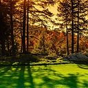 Ana Cristina Gomez Jaramillo