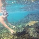 Guillermo Ramírez Murrieta