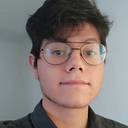 David Alejandro Flores Gatica