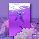 Fabio Almeida Amigouet