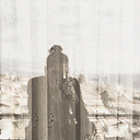 Gonzalo Bugueño Romero