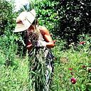 Gestarte Natureza