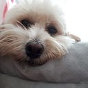 ALHELI ROBLEDO SALAZAR