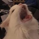 Anne Caroline Soares