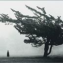 Marina Martinez Cora