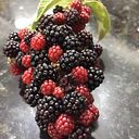 Nestor Ricardo Mejia Uribe