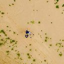 David Felipe Camacho Alba