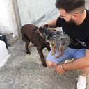 Antonio Delgado Villén