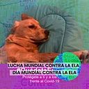 Clau González Grandón