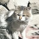 Jean Pablo Cervantes Navarro